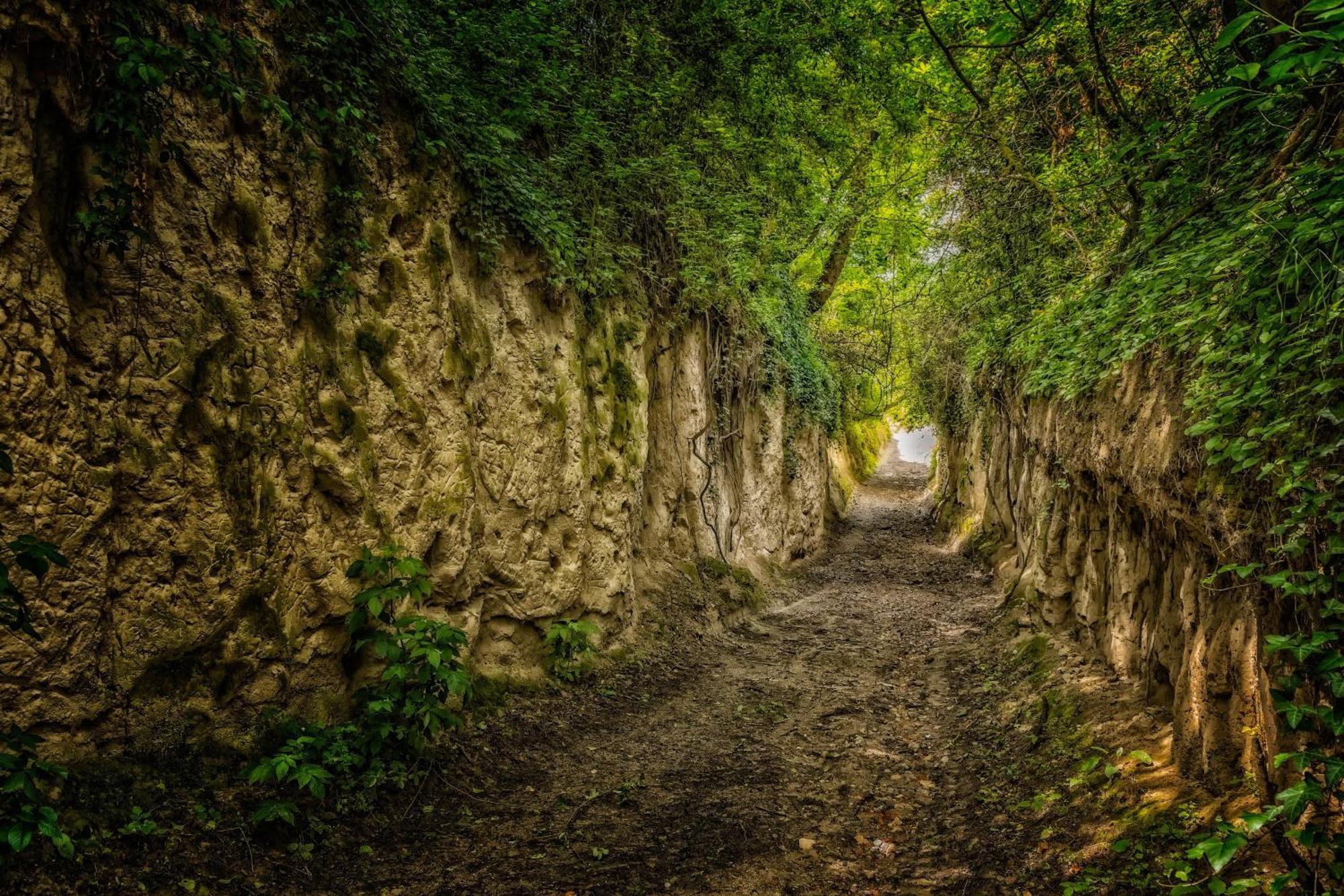 Dreilaendereck Am Kaiserstuhl Wasenweiler 외부 사진