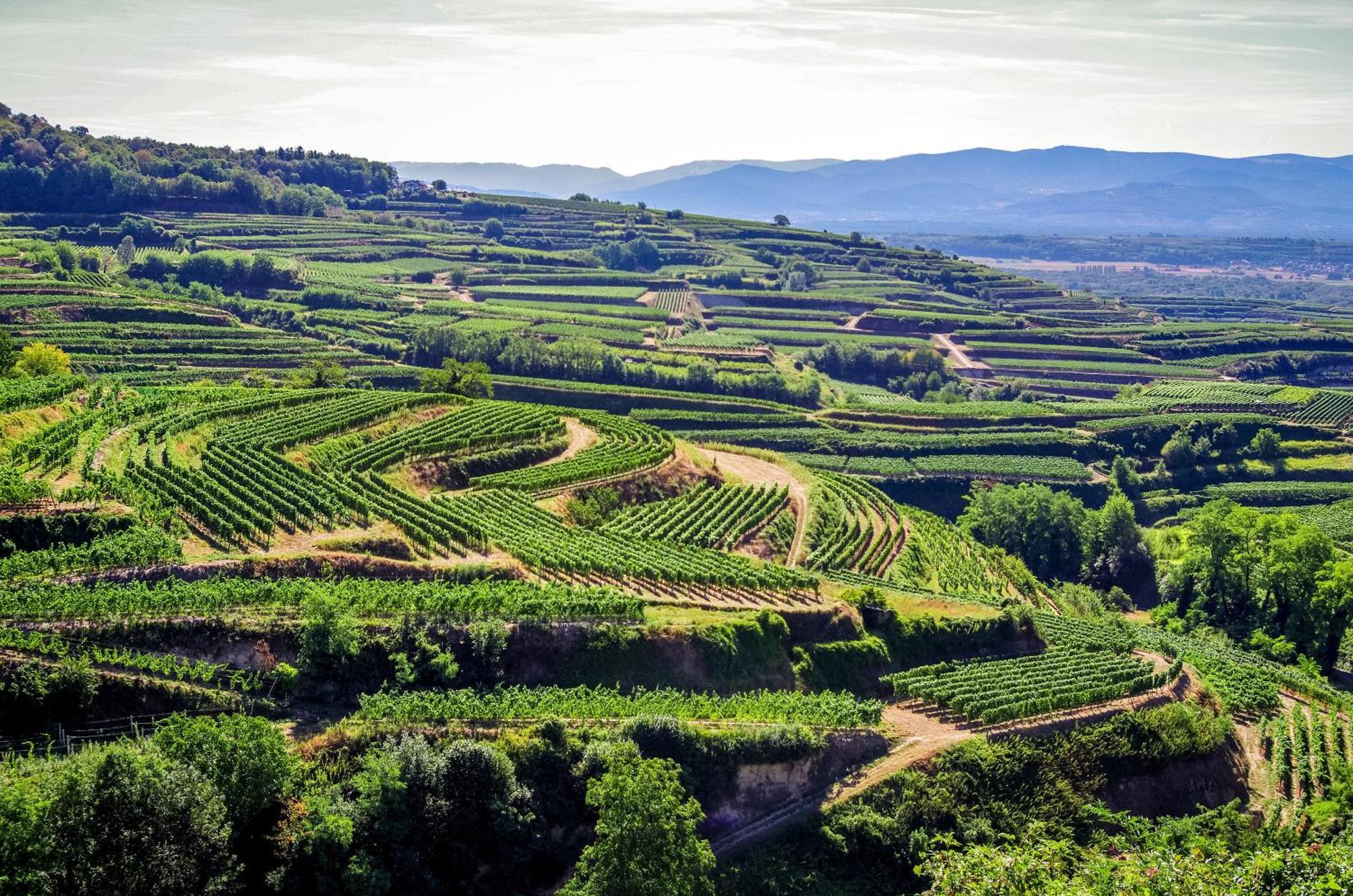 Dreilaendereck Am Kaiserstuhl Wasenweiler 외부 사진